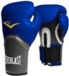 Everlast best budget boxing gloves