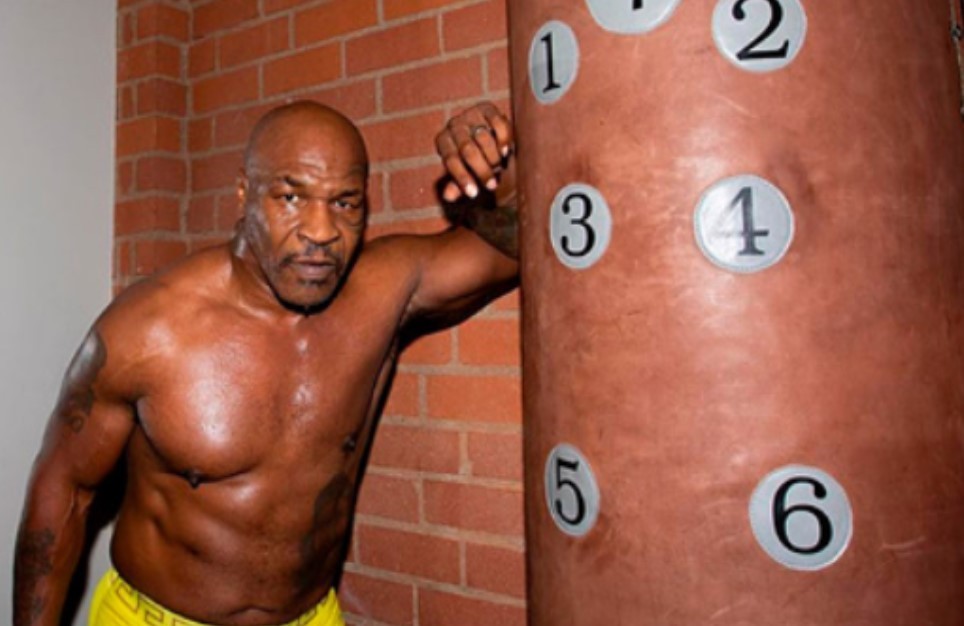 mike tyson punch bag numbers, how to punch harder, how to knock someone out