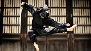 ninjutsu, martial arts, hardest martial arts, The Top 5 Hardest Martial Arts to Learn