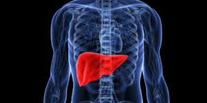 liver shot, liver punch, liver kick