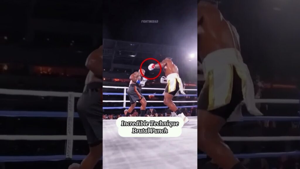 viral mma videos