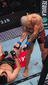 Alex pereira power, alex pereira, knockout power